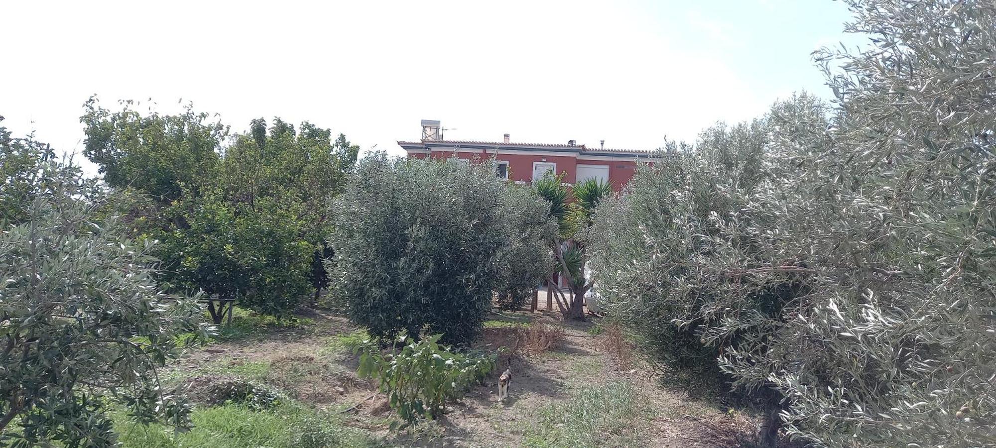 Apartamento Ktima Develekou Pigadhia  Exterior foto