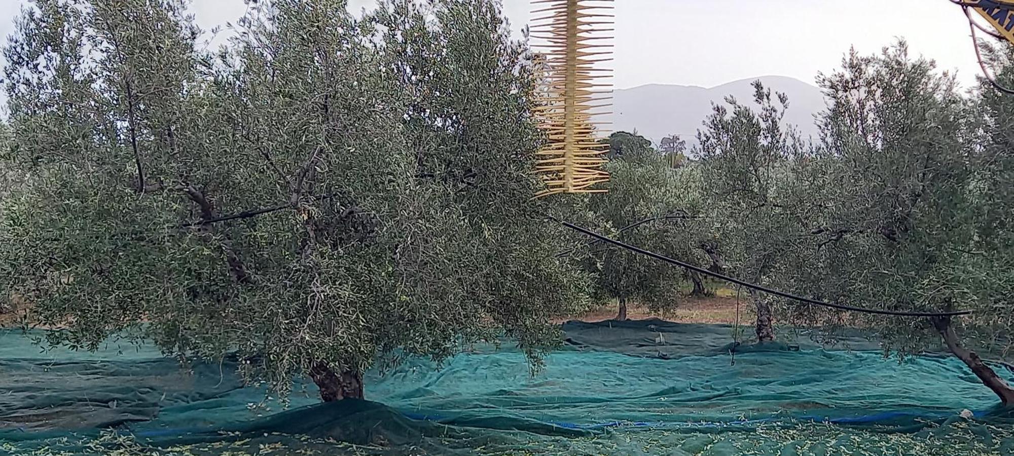 Apartamento Ktima Develekou Pigadhia  Exterior foto
